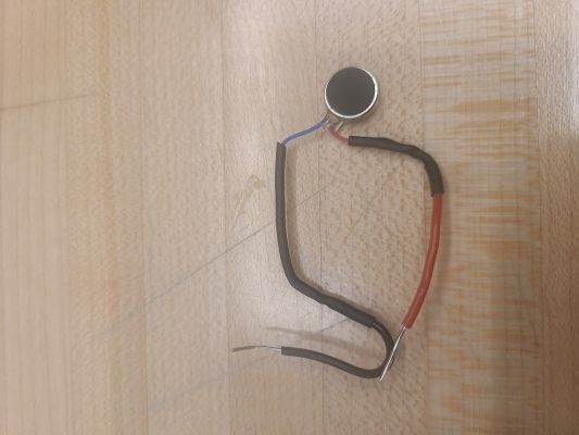 picture of button motor